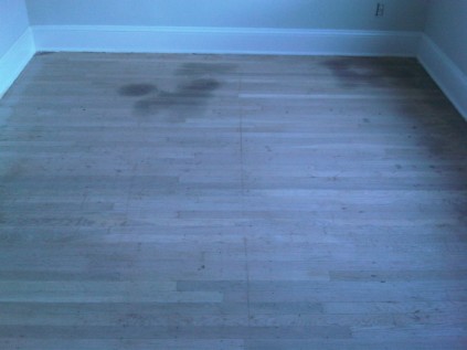 Hardwood floor pet stains